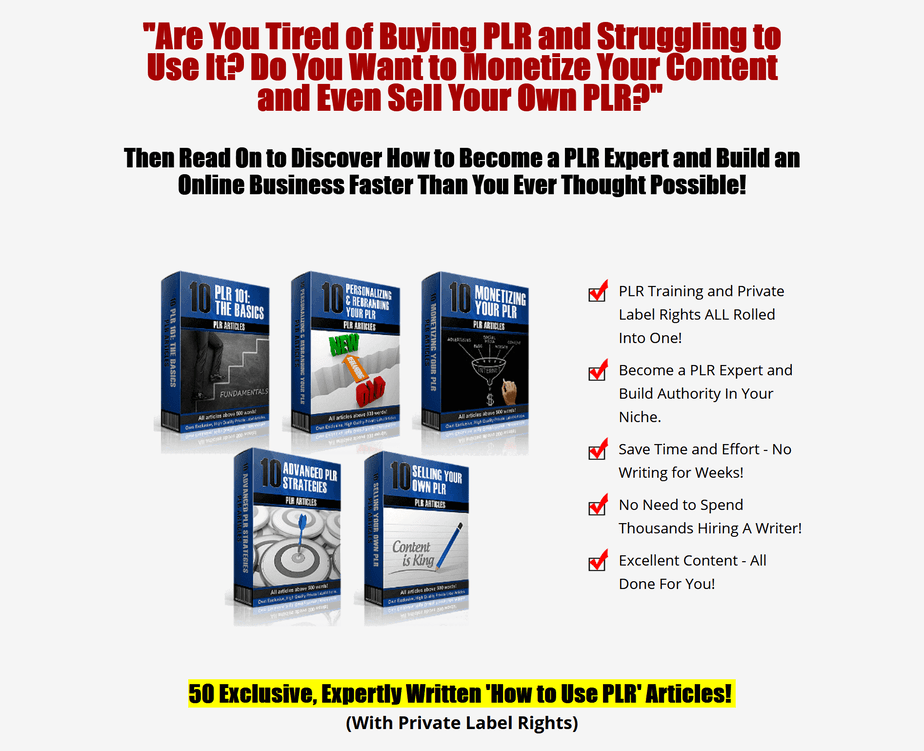 PLR-On-PLR-From-Beginner-to-Pro-Learn-To