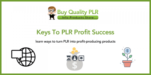 Keys To PLR Profit Success | Profitable Methods To PLR Success