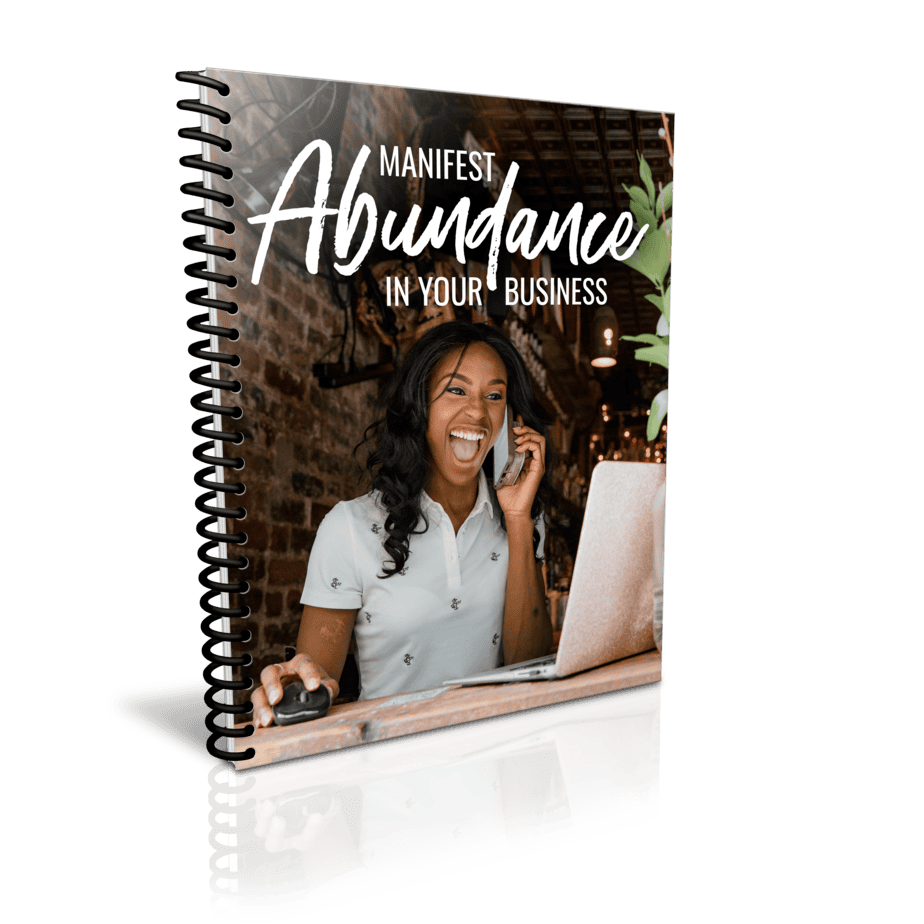 Manifest Abundance in Your Business Premium PLR Package Cover