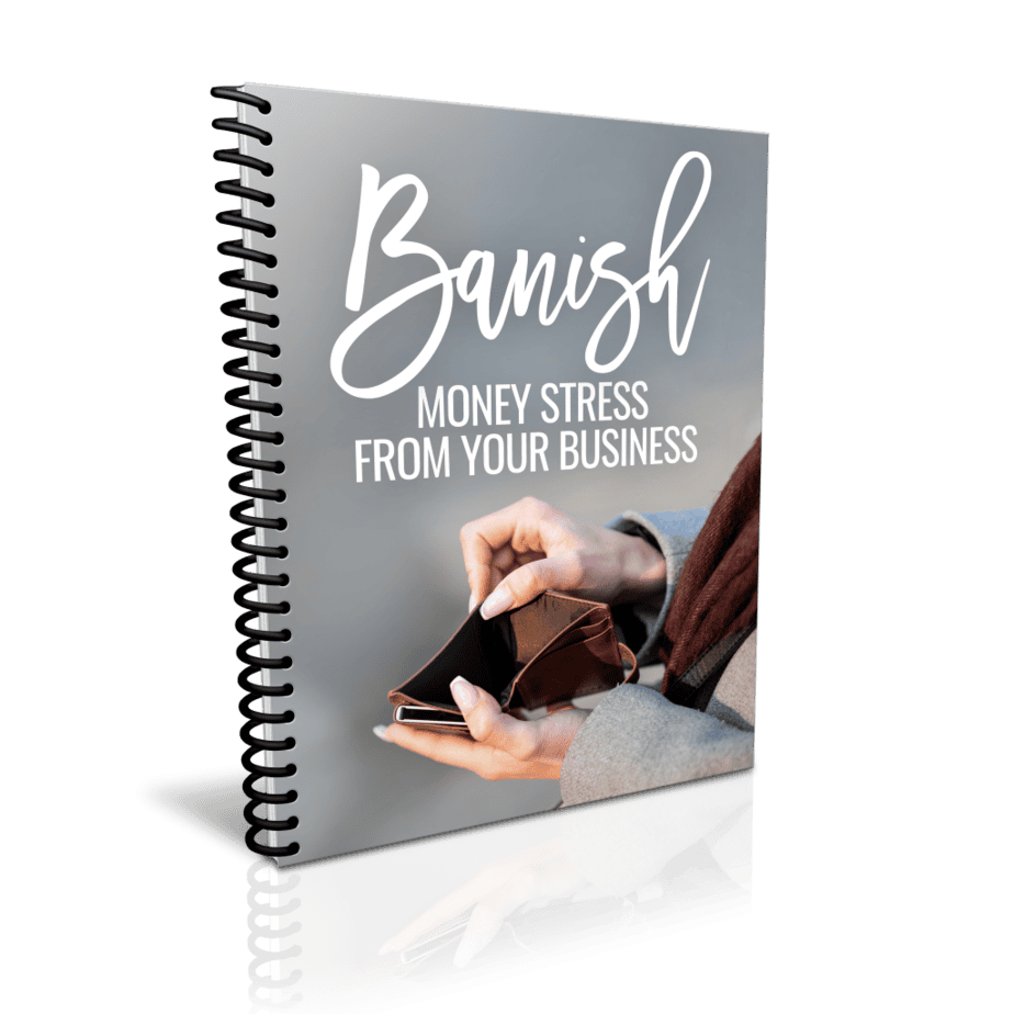 Banish Money Stress from Your Business Premium PLR Cover