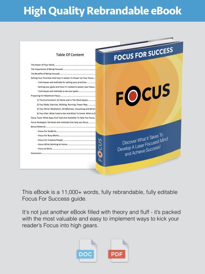 Focus For Success Premium PLR Ebook