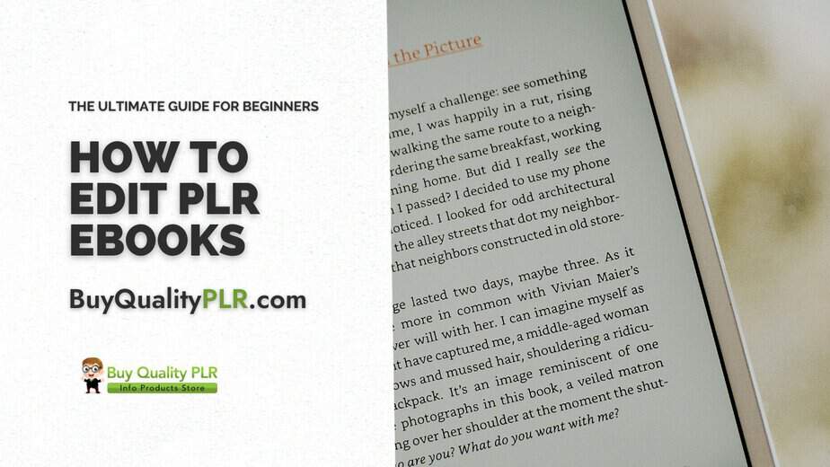 How to Edit PLR Ebooks The Ultimate Guide for Beginners