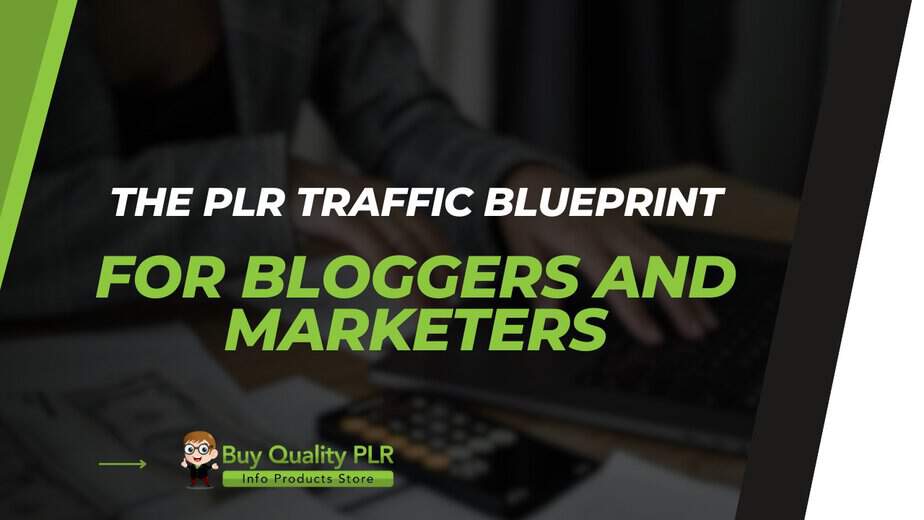 The PLR Traffic Blueprint for Bloggers and Marketers
