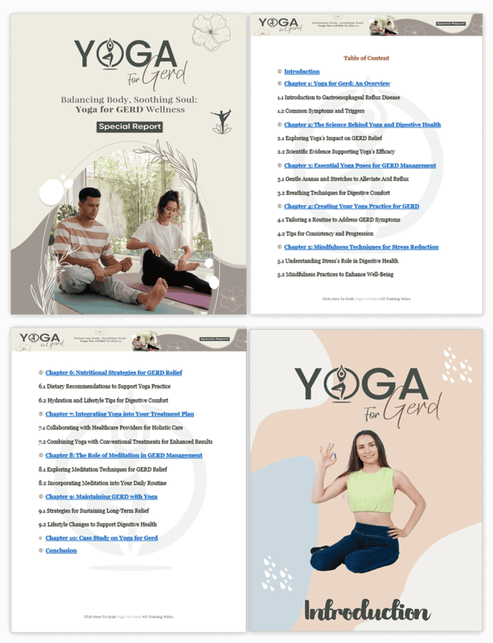 Yoga for Gerd PLR Sales Funnel Report Screenshot