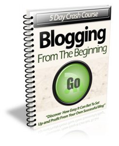 Boost Blog Challenge Premium PLR Package 20k Words