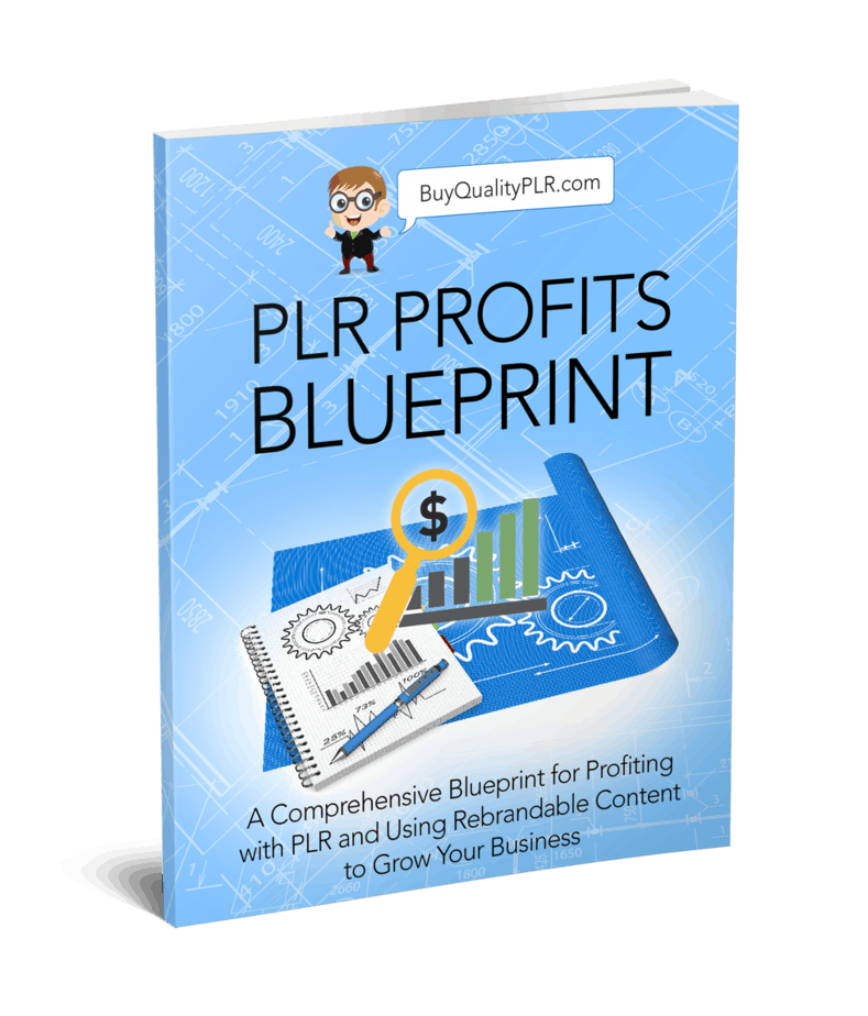 PLR Profits Blueprint | How To Use PLR Training Course