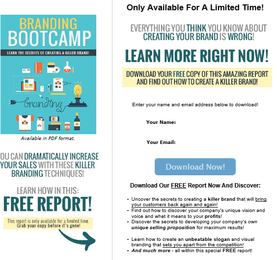 Branding Bootcamp PLR HTML Squeeze Page