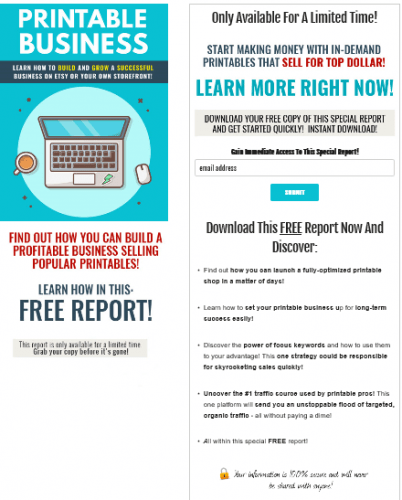 Printable Business PLR Lead Magnet Kit and Squeeze Page