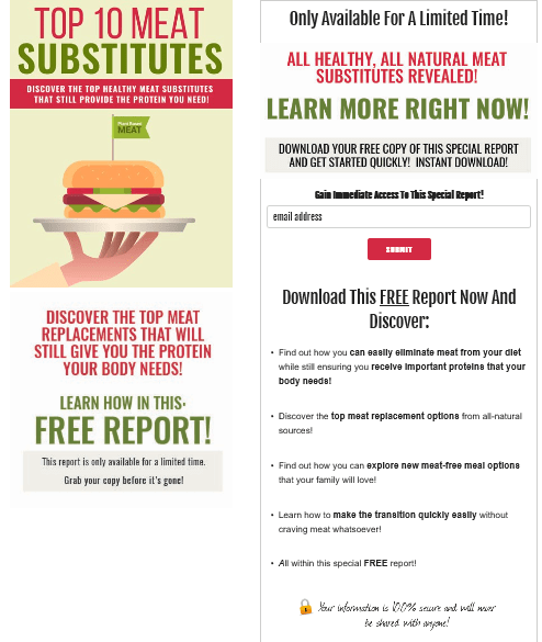 Meat Substitutes PLR Squeeze Page