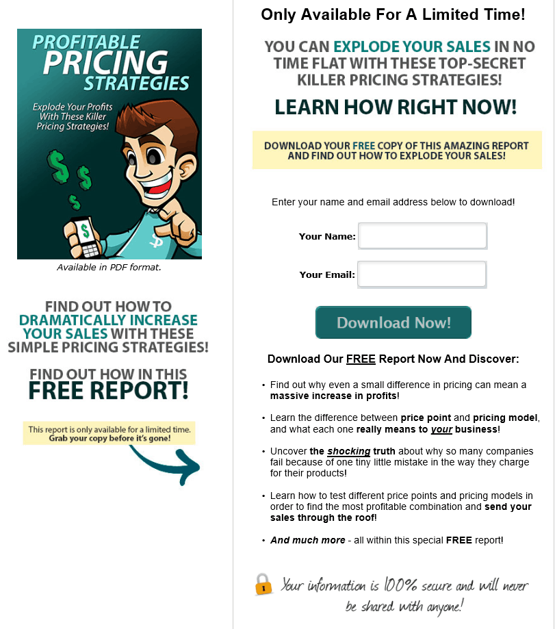 Profitable Pricing Strategies PLR Squeeze Page
