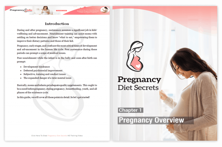 Pregnancy Diet Secrets Plr Sales Funnel Pregnancy Diet Plr Product 