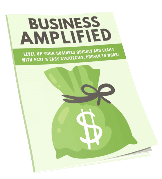 Business Amplified PLR Lead Magnet Kit Cover