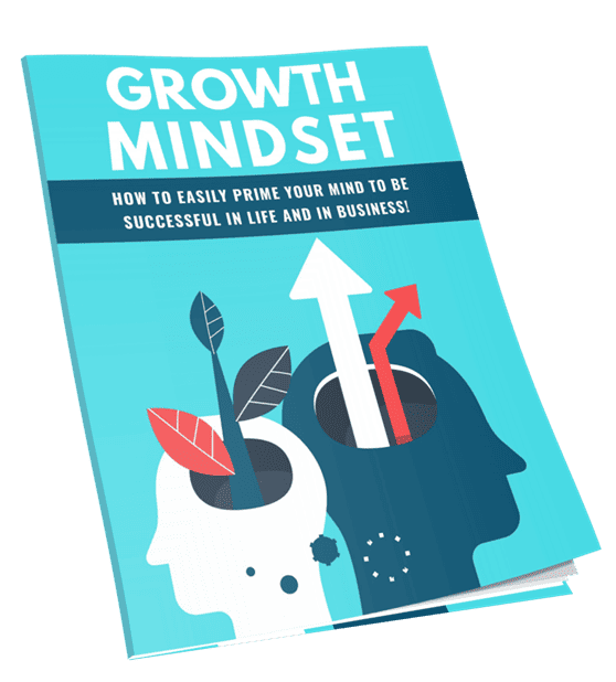 Growth Mindset PLR Lead Magnet Kit Cover